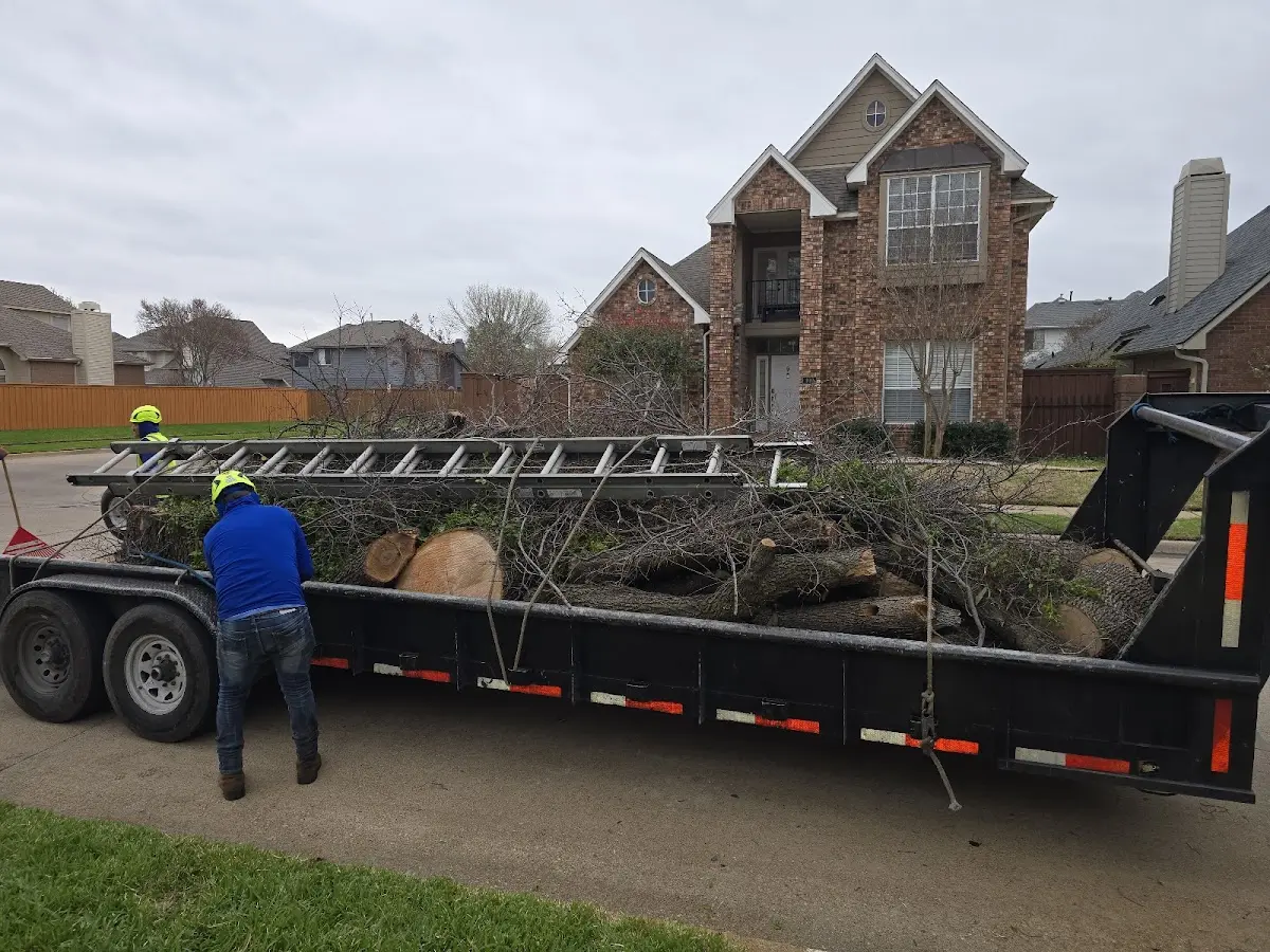 Expert Tree Pest Control with proper safety equipment in Kieler